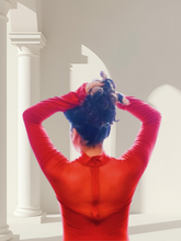 Load image into Gallery viewer, Sheer Top Red Dress
